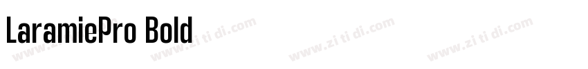 LaramiePro Bold字体转换